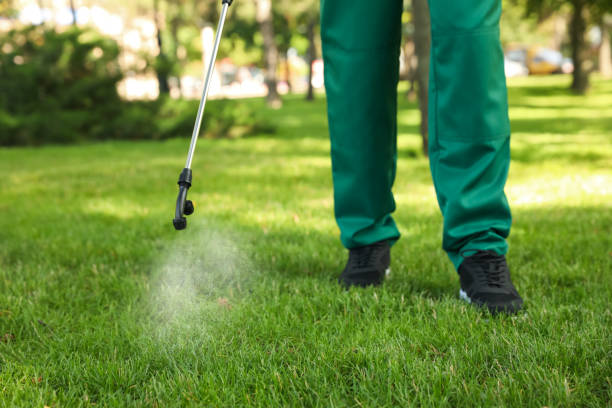 Best Ant Control Services  in Junction City, KY