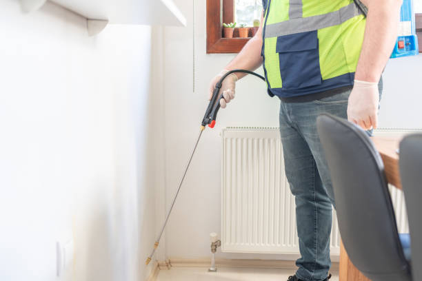 Professional Pest Control in Junction City, KY