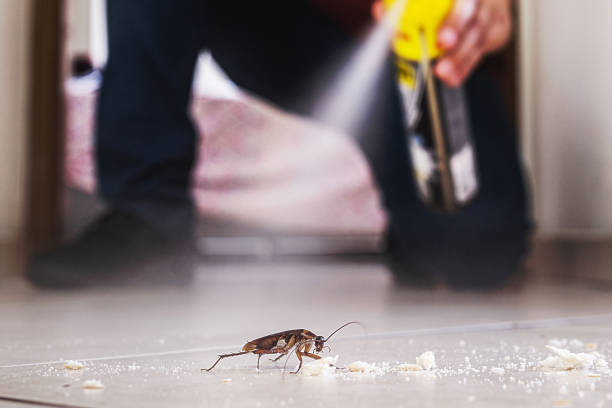 Best Pest Removal Services  in Junction City, KY