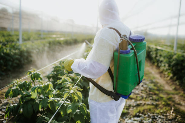 Best Exterminator Services  in Junction City, KY